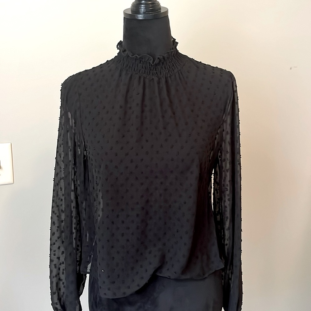 Black sheer blouse.